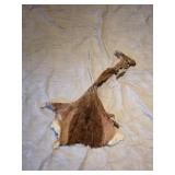 Partial animal hide