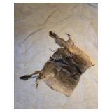 Partial wild boar hide and hooves