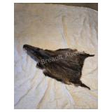 Havelina hide