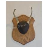 Whitetail deer antlers with custom wooden plaque