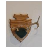 Whitetail deer antlers with custom wooden plaque