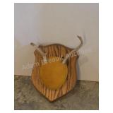 Whitetail deer antlers with custom wooden plaque