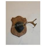 Whitetail deer antlers with custom wooden plaque