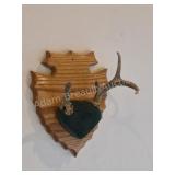 Whitetail deer antlers with custom wooden plaque