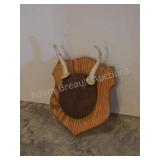 Whitetail deer antlers with custom wooden plaque