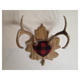 Whitetail deer antlers with custom wooden plaque