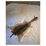 Axis Deer hide