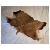 Partial animal hide