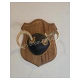 Whitetail deer antlers with custom wooden plaque