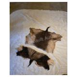 2 partial animal hides