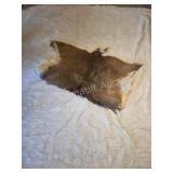 Partial Whitetail deer hide
