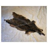 Wild boar hide