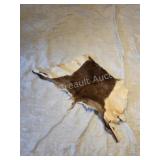 Partial animal hide