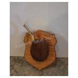 Whitetail deer antlers with custom wooden plaque