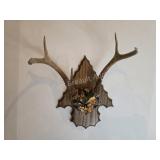 Whitetail deer antlers with custom wooden plaque