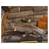 RAINBOW TROUT TAXIDERMY MOUNT ON DRIFTWOOD