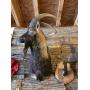 BUGAI TAXIDERMY ONLINE AUCTION