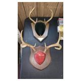 2 SETS VINTAGE WHITETAIL DEER ANTLERS