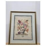 large, custom-framed botanical print titled