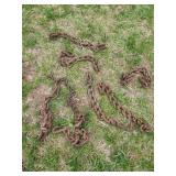 Chains, Bungee Cords
