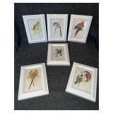 6-5x7 Bird prints