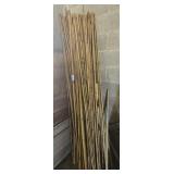 Small Bamboo Lot