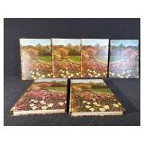 New Illustrated Encyclopedia of Gardening