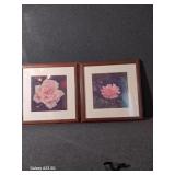 2 Framed Flower Pictures