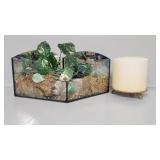 Terrarium, 3 Wick Candle