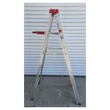 Werner 6FT Ladder