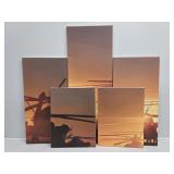 5 Panel Helicopter Wall Art