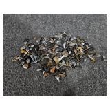 Small Shark Teeth