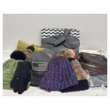 Winter hats, Ball caps, 2 Purses, Bag
