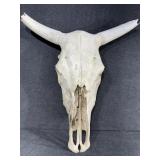 Steer Skull
