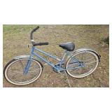 Schwinn Cruiser