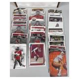 Tampa Bay Buccaneers Football Card Team Lot