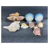 Sea Shell Salt and Pepper Shaker, Sea Shells