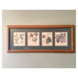 Botanical Floral Paintings, Antique Rose Print