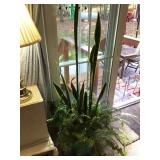 Tall snake plant and fern