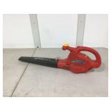 Electric leaf blower functional