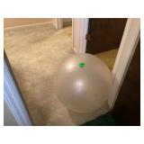 EXERCISE BALL