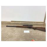 Marlin 22 LR Model 60 with 4x15 scope