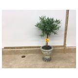 Fake rosemary bush Fake rosemary bush