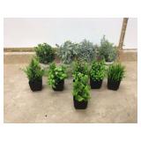 VARIOUS ARTIFICIAL PLANTS - HOME DECOR VARIOUS ARTIFICIAL PLANTS - HOME DECOR