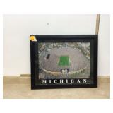 UNIVERSITY OF MICHIGAN PICTURE UNIVERSITY OF MICHIGAN PICTURE