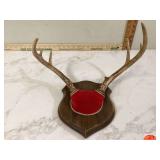 DEER ANTLERS ON WALL MOUNT PLAQUE