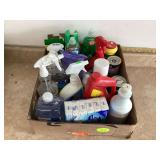 Cleaning supplies in a box