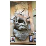 Mountain lion, full body mount