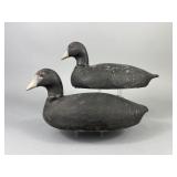 2 Doug Campbell Coot Decoys