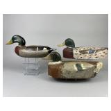 3 Mallard Drake Duck Decoys